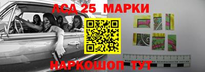 прущие грибы Будённовск