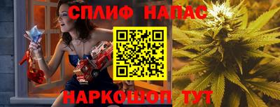 прущие грибы Будённовск