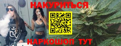 прущие грибы Будённовск