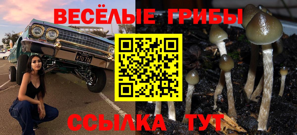 Похвистнево  Галлюциногенные грибы MAGIC MUSHROOMS  Вход с VPN  Галлюциногенные грибы Psilocybe 